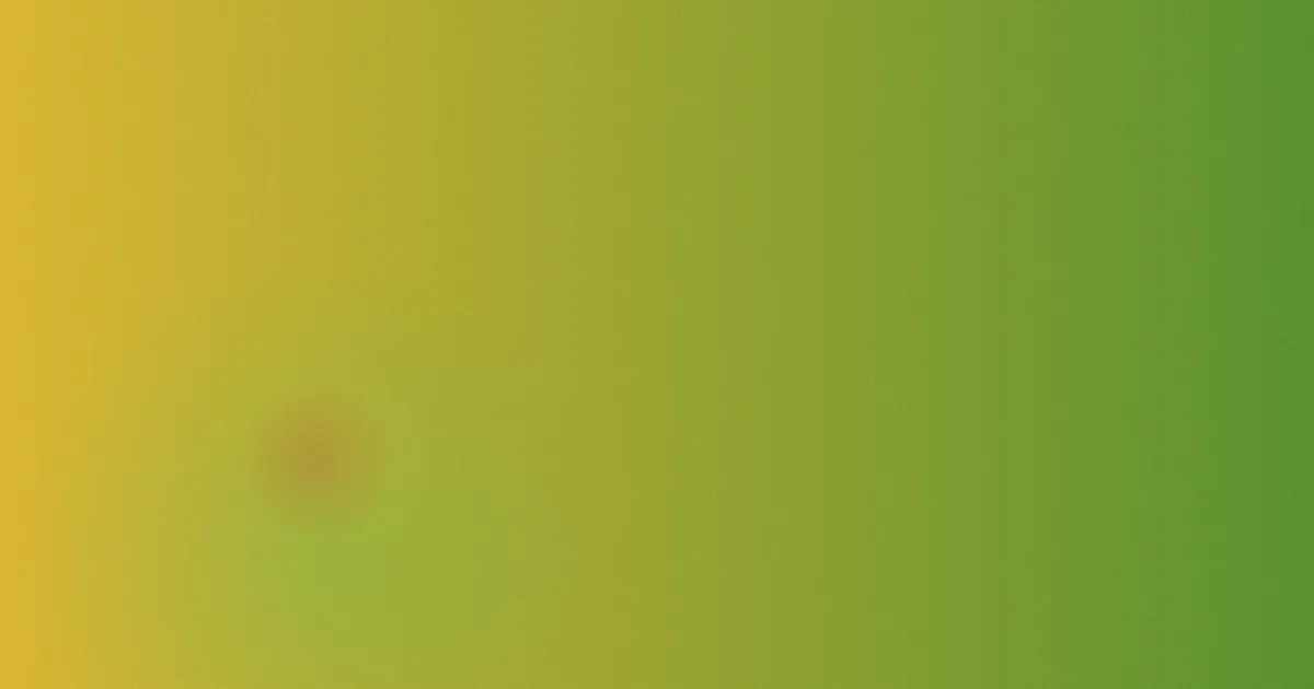 九九归一对比：一次项目复盘